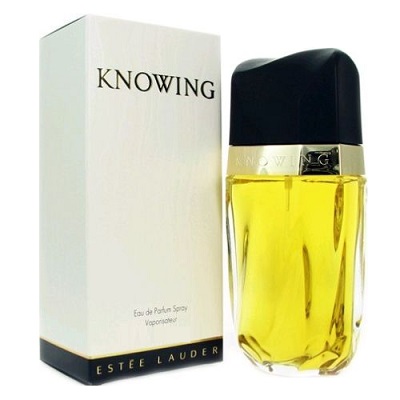 Knowing Perfume